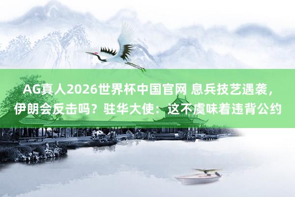 AG真人2026世界杯中国官网 息兵技艺遇袭，伊朗会反击吗？驻华大使：这不虞味着违背公约