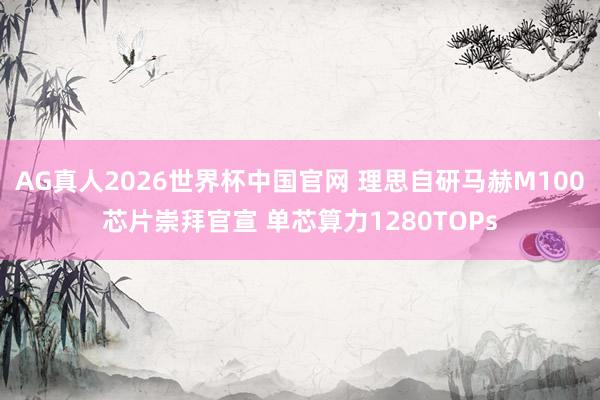 AG真人2026世界杯中国官网 理思自研马赫M100芯片崇拜官宣 单芯算力1280TOPs