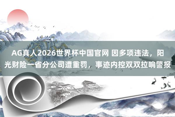 AG真人2026世界杯中国官网 因多项违法，阳光财险一省分公司遭重罚，事迹内控双双拉响警报