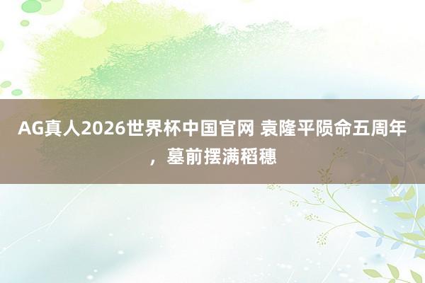 AG真人2026世界杯中国官网 袁隆平陨命五周年，墓前摆满稻穗