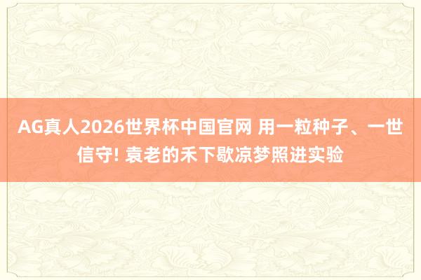 AG真人2026世界杯中国官网 用一粒种子、一世信守! 袁老的禾下歇凉梦照进实验