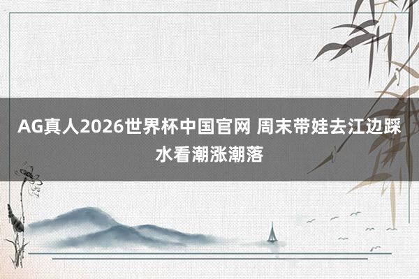 AG真人2026世界杯中国官网 周末带娃去江边踩水看潮涨潮落
