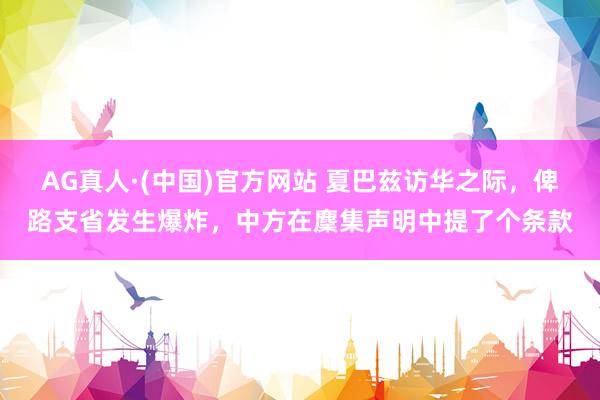 AG真人·(中国)官方网站 夏巴兹访华之际，俾路支省发生爆炸，中方在麇集声明中提了个条款