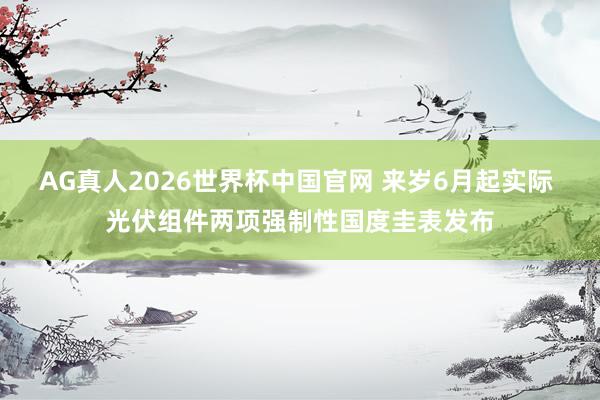 AG真人2026世界杯中国官网 来岁6月起实际 光伏组件两项强制性国度圭表发布