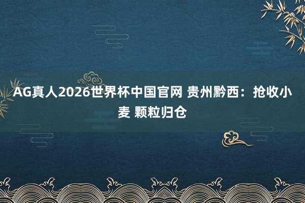 AG真人2026世界杯中国官网 贵州黔西：抢收小麦 颗粒归仓