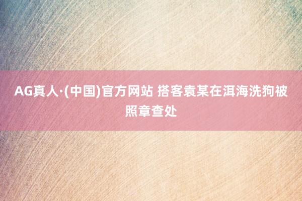 AG真人·(中国)官方网站 搭客袁某在洱海洗狗被照章查处