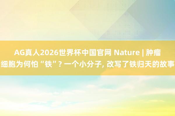 AG真人2026世界杯中国官网 Nature | 肿瘤细胞为何怕“铁”? 一个小分子， 改写了铁归天的故事