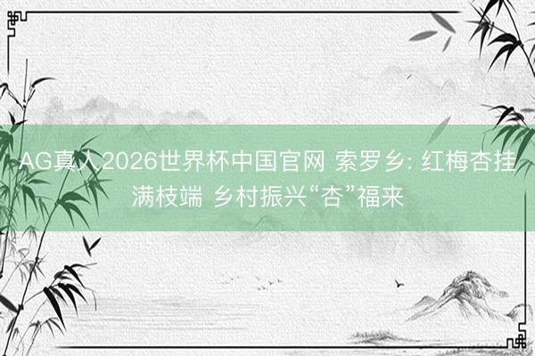 AG真人2026世界杯中国官网 索罗乡: 红梅杏挂满枝端 乡村振兴“杏”福来