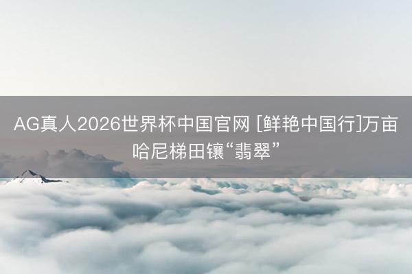 AG真人2026世界杯中国官网 [鲜艳中国行]万亩哈尼梯田镶“翡翠”