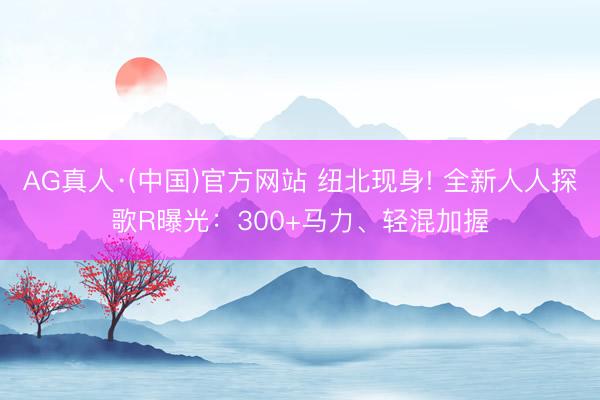 AG真人·(中国)官方网站 纽北现身! 全新人人探歌R曝光:300+马力、轻混加握